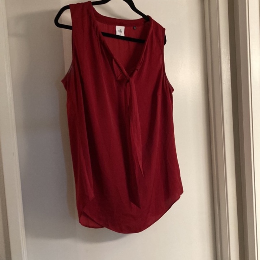 Cabi Olive & Garnet blouses. NWOT size large - Picture 4 of 12